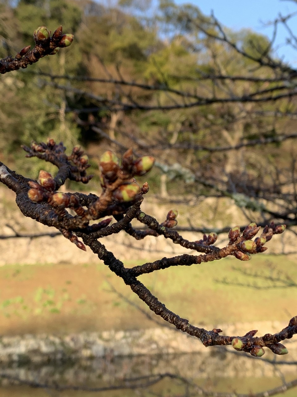 D8FCEA22-3207-41A4-B04A-D2B746D3C9E3