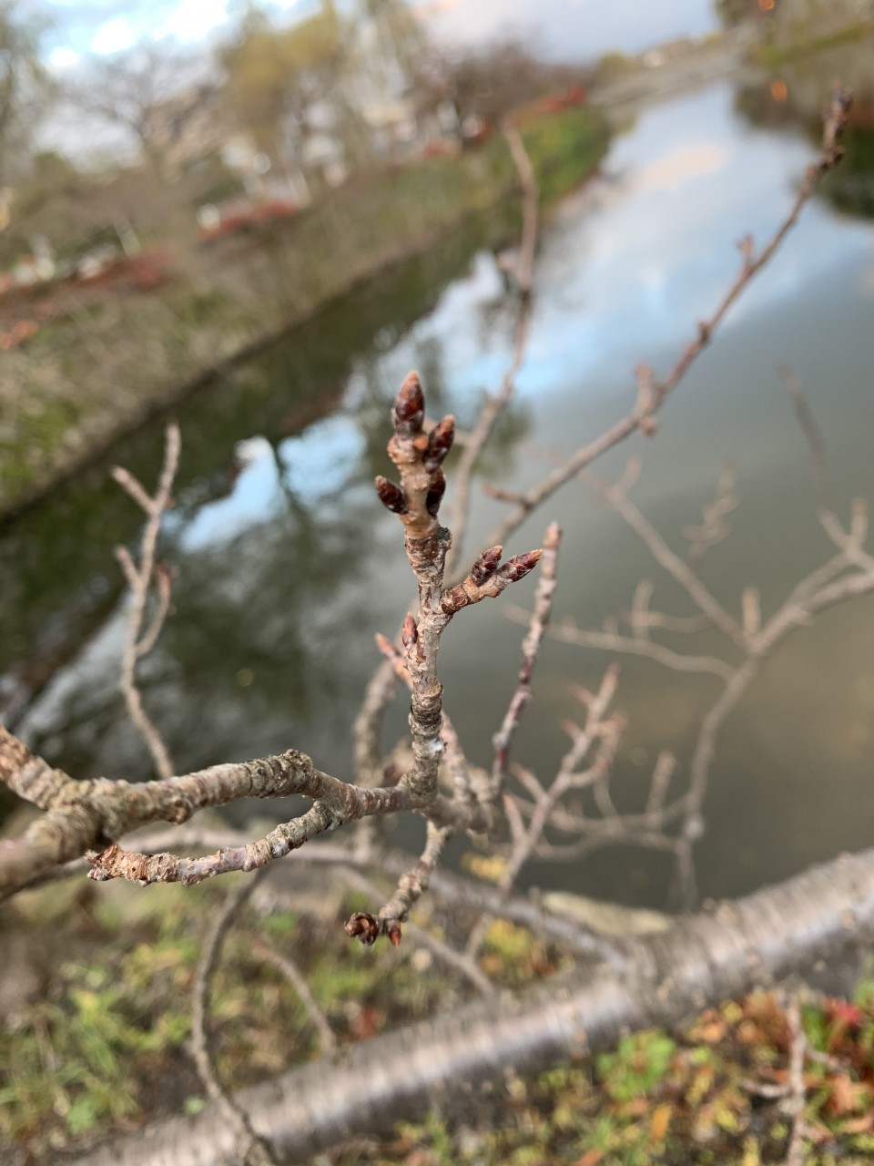 3C0DF48F-8671-430C-B515-D0F02908375E